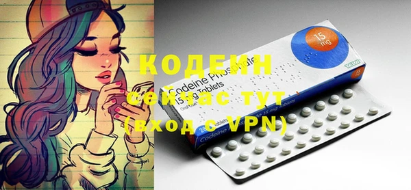 гидра Карпинск