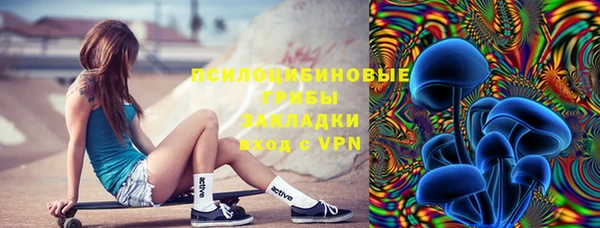 синтетический гашиш Каменногорск