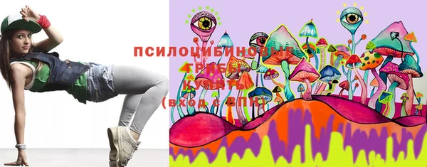 шишки Касимов